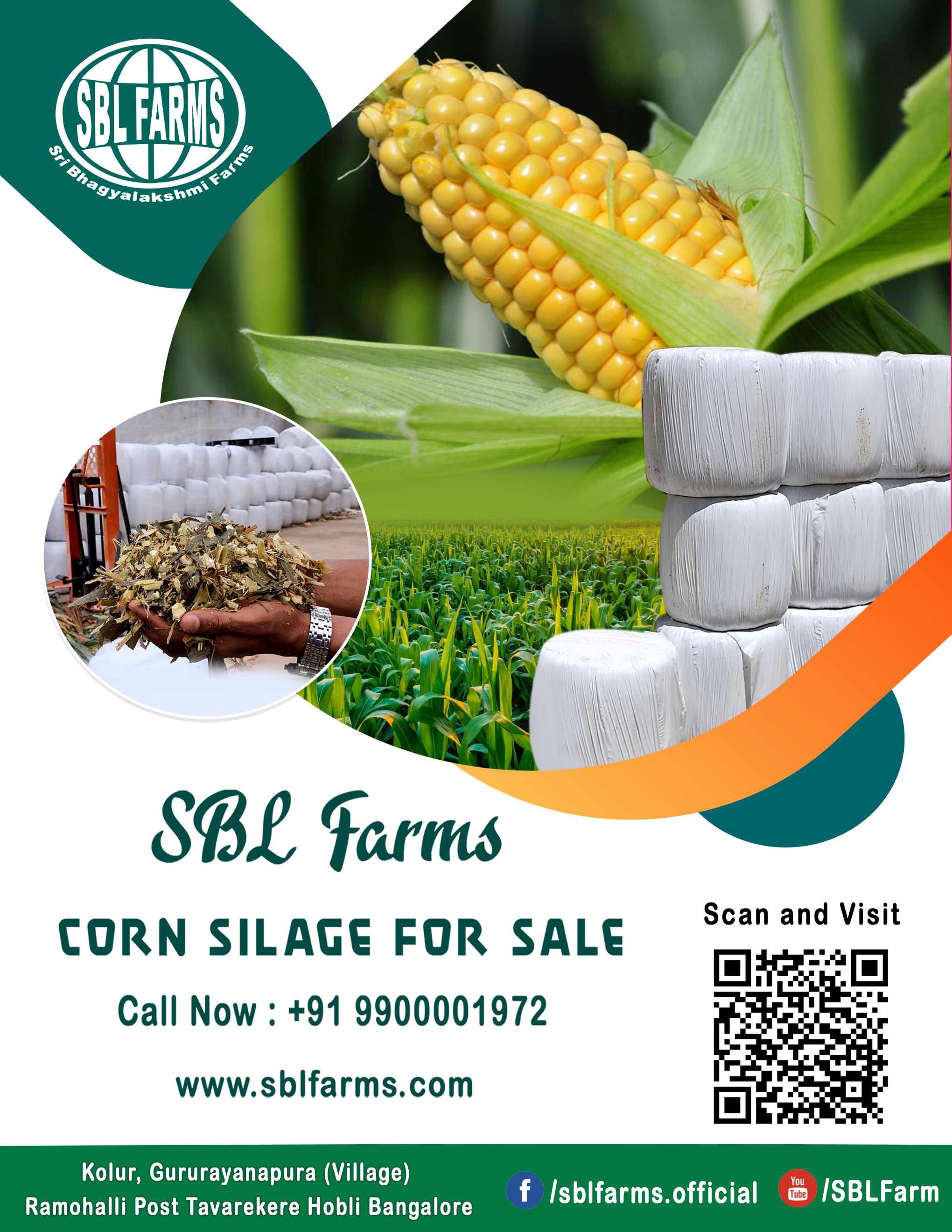 Corn Silage Suppliers in Bangalore | Corn Silage for Sale  |  Corn Silage, Baby Corn Silage manufacturers, suppliers & exporters in Bangalore | corn silage for sale in bangalore |  Sri Bhagyalakshmi Farms Corn Silage Bangalore| Silage Balers | Animal Feed Manufacturers | Production of Silage |Cattle feed manufacturers & suppliers - SBL Farms is solving the biggest fodder crisis in India, by supplying Silage bales, Bailing machines to dairy farmers, Cooperatives, Animal Husbandry | Best Cattle Feed Manufacturers & Silage Suppliers in India | Indias Best Baled Silage Producers